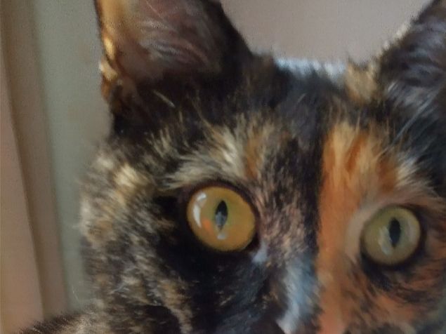 Margot as chief adviser on prioritising my workspace and where my attention may be required...  